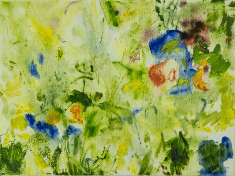 Rachel Budd - Cornish Wildflowers 2