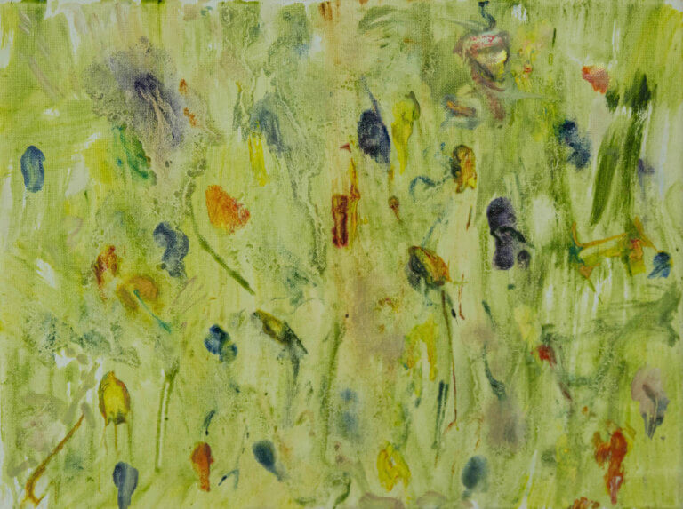 Rachel Budd - Crocus Patch